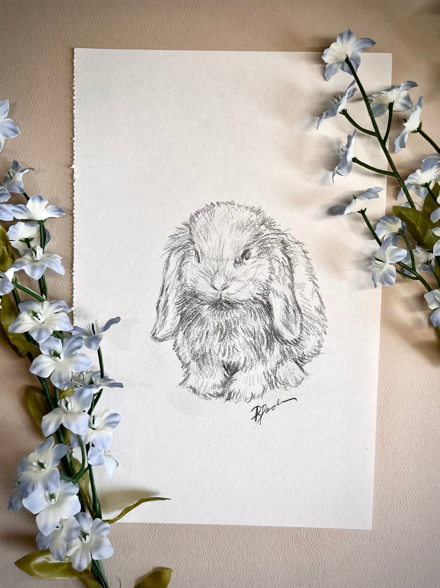 "Baby Bunny" Pencil Drawing