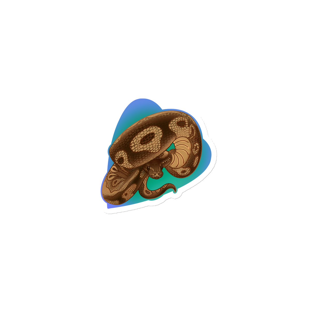Python Magnet