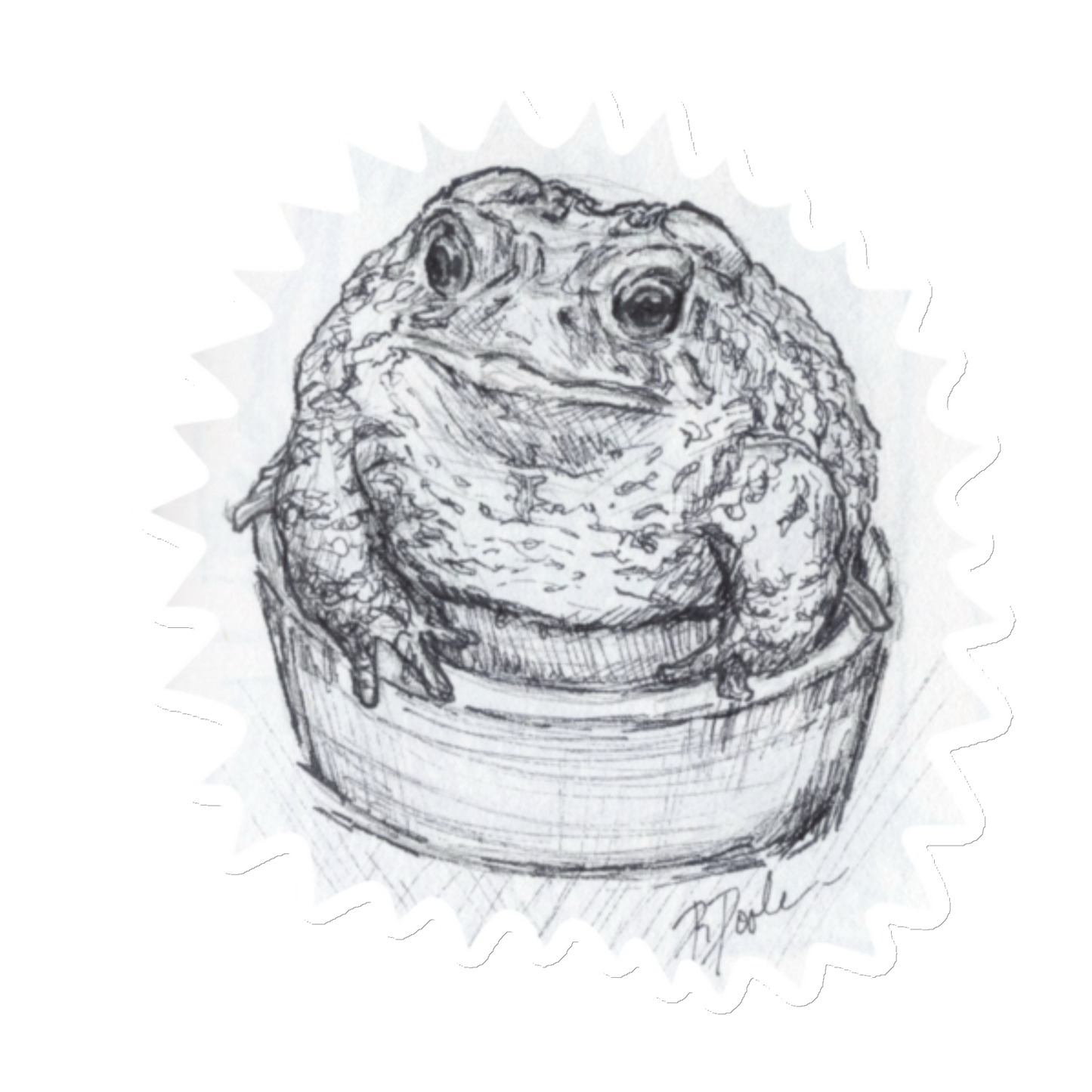 "Toad In A Cup" Magnet