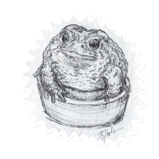 "Toad In A Cup" Magnet